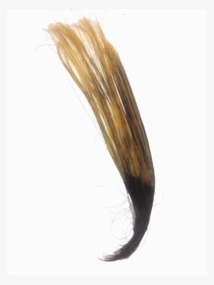 Human Hair Partly Bleached - Bleach