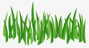 Grass For Tubes - Cartoon Grass Transparent Background