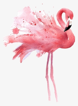 Picture Transparent Stock Freetoedit Sticker By Qwerty - Celular Plano De Fundo