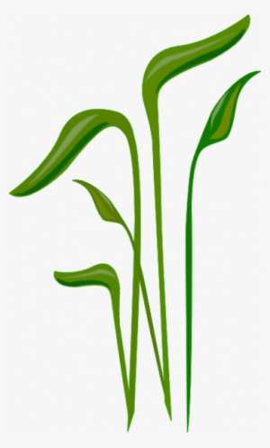 Grass For Tubes - Portable Network Graphics