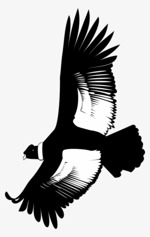 Fliegender The Bald Eagle - Condor Clip Art