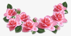Transparent Pink Rose - Pink Roses Clipart