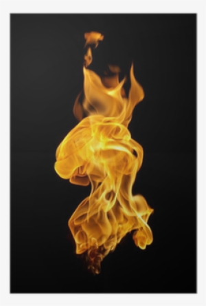 Petroplague By Amy Rogers