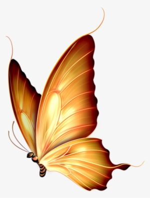 Autumn Gold - Beautiful Yellow Butterfly .png