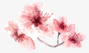 Pink Water Color Flower Png - Transparent Watercolor Flower Png