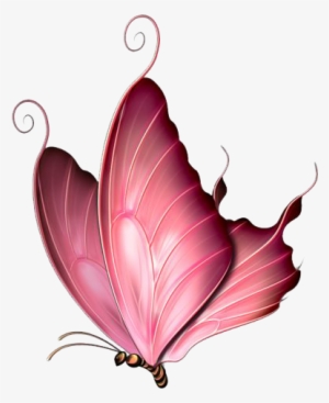 Pink Butterfly Png Image - Pink Butterfly Throw Blanket