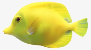 Yellow Zebrasomatang Fish Png Clipart - Fish Png