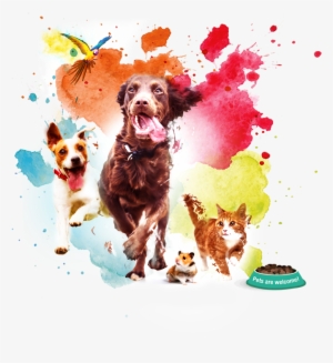 Sign Up For Event News And Updates - Singapore Pet Carnival Calendar 2018