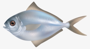 Grey Butter Fish Png Clipart Image - Fish