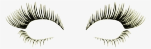 Banner Transparent Library Diva Slimming And Aesthetics - Eyelash Extensions