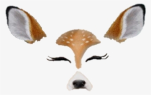 High Resolution Snapchat - Clip Art