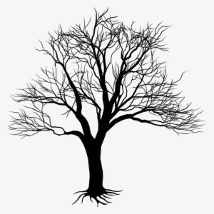 Drawing Of Tree On Wall Clipart Best - Kill A Mockingbird Tree