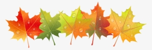 Fall Png