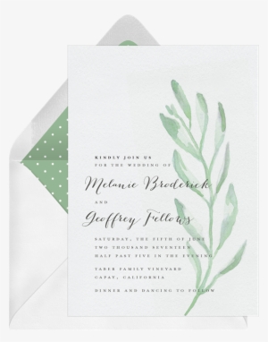 Invitations In Green Greenvelope - Olive Branch Png Watercolour