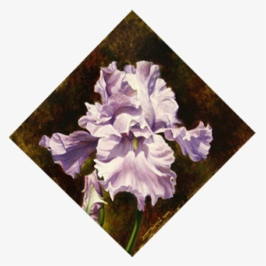 Iris - Grape