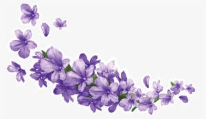 Lavender-7 - Lavender Png