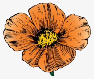 Black And White Mexico Cliparts Design Mexican Flowers - California Poppy Png