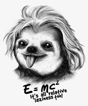 Sloth Einstein Iphone 7 Case