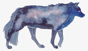 Galactic-2 - Watercolor Of Galxy Animal