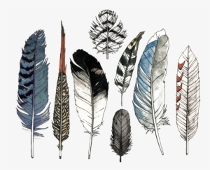 Watercolor Feather Set - Watercolor Feather
