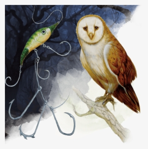 In D&d, We Call A Part Of The Game Broken Because It's - Dnd 5e Giant Owl