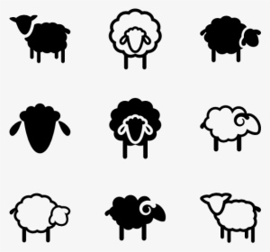 Sheeps - Sheep Vector Png - 600x564 PNG Download - PNGkit