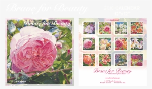 2018 Wall Calendar - Calendar