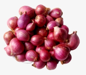 Free Library Small At Rs Kilogram Payaz Piaja Piyaz - Small Onion In Kerala