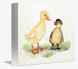 Little Duckling Friends In Watercolor By Cheryl Marie - Duckling Watercolor