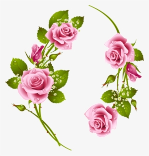 Pin By Carmen Dungan On Flowers Pinterest Flowers Png - Flower