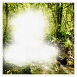 Forest Frame - Png Image Forest Frame