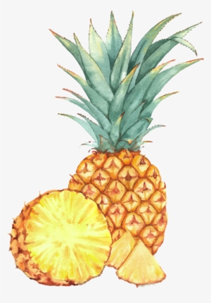 Watercolor Painting Fruit Drawing Illustration