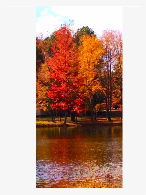 Some Areas Could Have Blended Together Better, But - Autumn