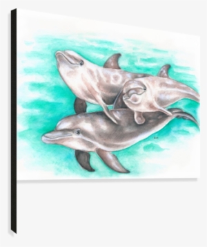 Dolphin Pod Teal Watercolor Impression Sur Toile - Watercolor Painting