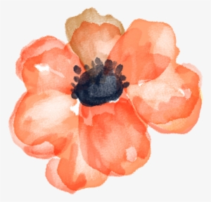 Photo By Arana - Watercolor Flowers Orangel Png