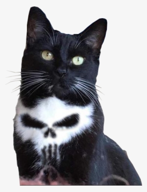 Cutout - Punisher Cat