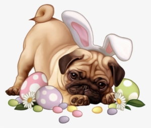 Share This Image - Perros Pascuas Png