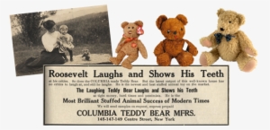 Teddy's Bear