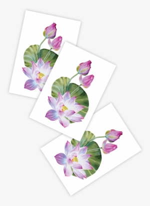 Lotus - Greeting Card