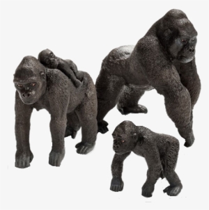 Graphic Free Congo Playfield Gorillas Modfather - Safari Ltd Gorilla Vs Schleich