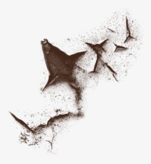 Useful Crack Png For My Editor Frnds Use And Follow - Png For Crack Effects