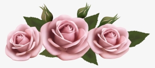 Beautiful Clipart Pink Rose - Pink Roses Transparent