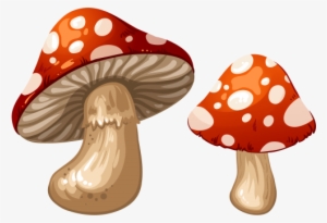 Clip Stock Mushrooms Png Clip Art Best Web Clipart - Mushroom Clipart Png