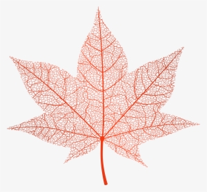 Transparent Red Autumn Leaf Png Clip Art Image - Pink Autumn Leaf Png