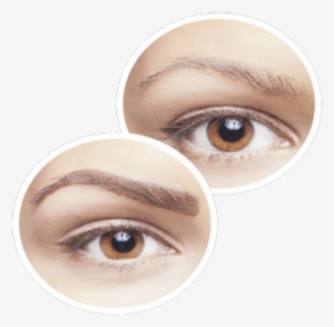 Sleek Brows Leuven - Sleek