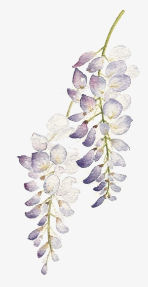 Graphic Flowers Watercolour Painting Purple Flower - Watercolor Purple Flowers Png