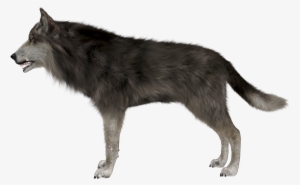 Pc Mob, - Wolf Side Png
