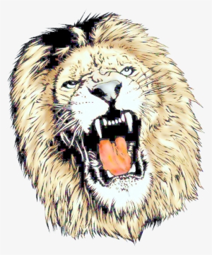 Lion Head Png - Lion Transparent