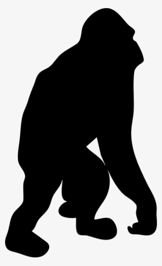 How To Set Use Contour Gorilla Svg Vector