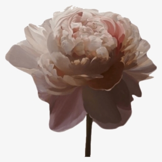 Transparent Aesthetic *source - Aesthetic Pink Flower Png